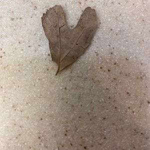 Meet your Posher, Cyndi